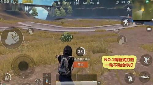 91欧美无掩体视频,揭秘真实生活瞬间